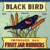 b290-black-bird-brand