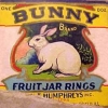 b400-bunny-brand-fruit