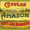 c160-cupples-amazon