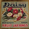 d010-daisy-best-quality