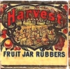 h035-harvest-fruit-jar