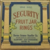 S121 Security Fruit Jar Rings