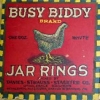 b412-busy-biddy-brand-white