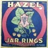 h040-hazel-brand-jar