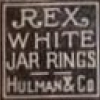 r178-rex-white