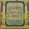 S121 Security Fruit Jar Rings