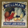 w045-wellman-extra